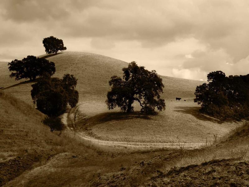 windows screenshot 2