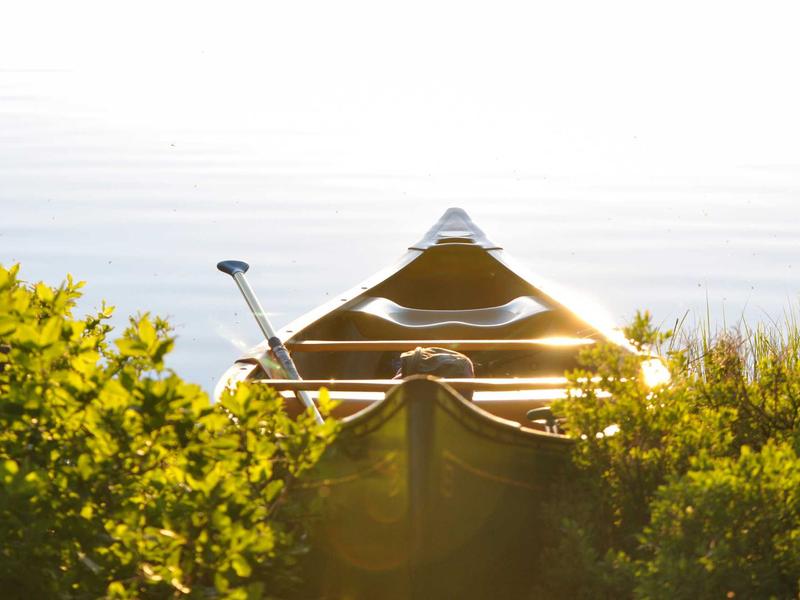 feedback screenshot 3