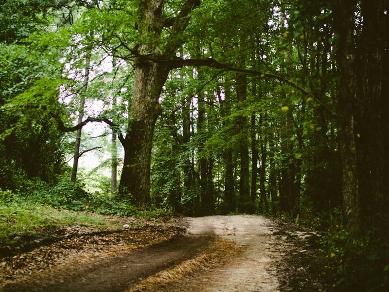 sudoku skill improvement screenshot 3